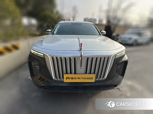 Red flag E-HS9 2021 Другой из Китая