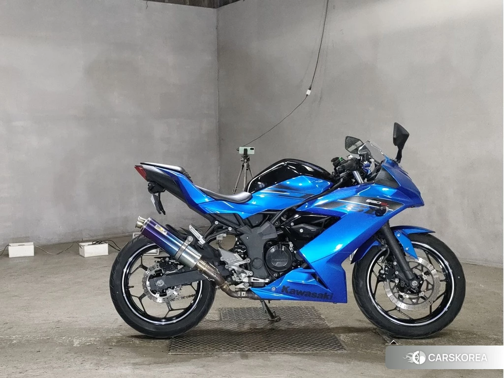 Проданный Kawasaki NINJA 250SL 2015 из Японии