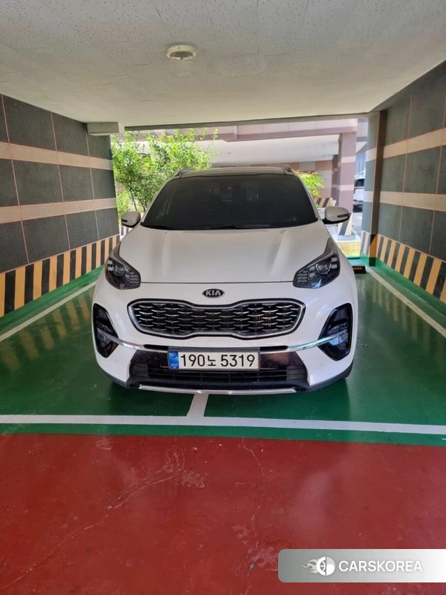 Kia Sportage The Bold 2021 Белый из Кореи
