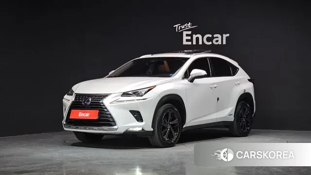Lexus NX300h 2018 Белый из Кореи