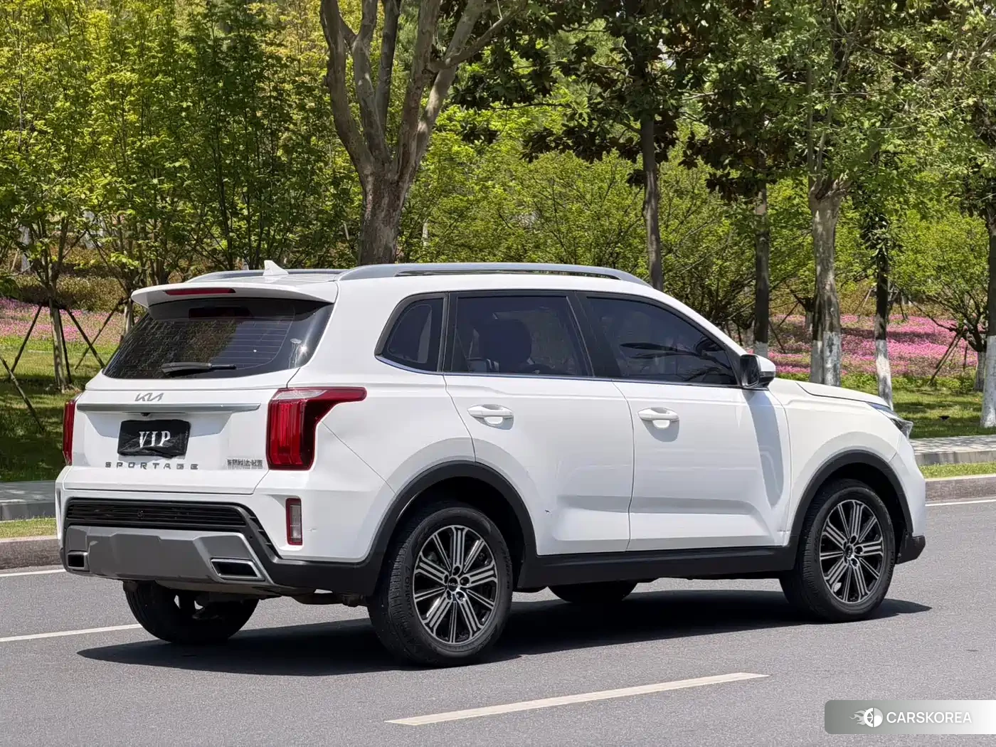 Kia Sportage 2021 Белый из Китая