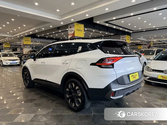 Kia Lion Platinum expands the world 2023 Белый из Китая