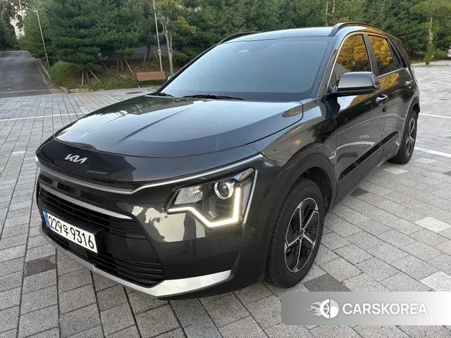 Kia Di Ol Nu Niro 2024 Серый из Кореи