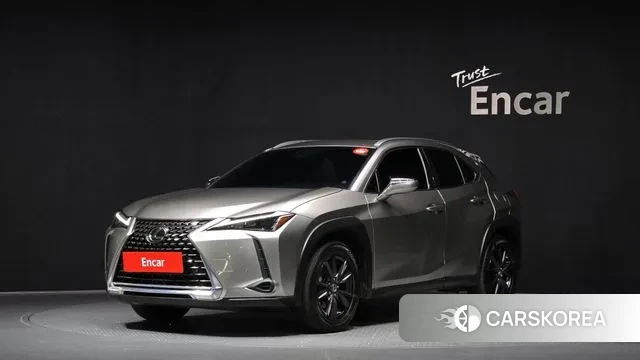 Lexus UX250h 2023 Серебристо-серый из Кореи