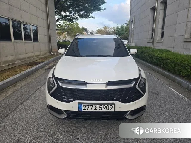 Kia Sportage 5th Generation 2023 Белый из Кореи