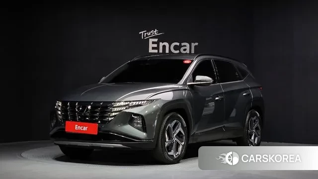 Hyundai Tucson (NX4) 2021 Серый из Кореи