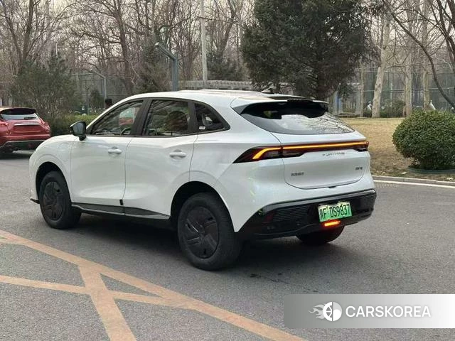 Dongfeng popular Xinghai T5 2026 Белый из Китая