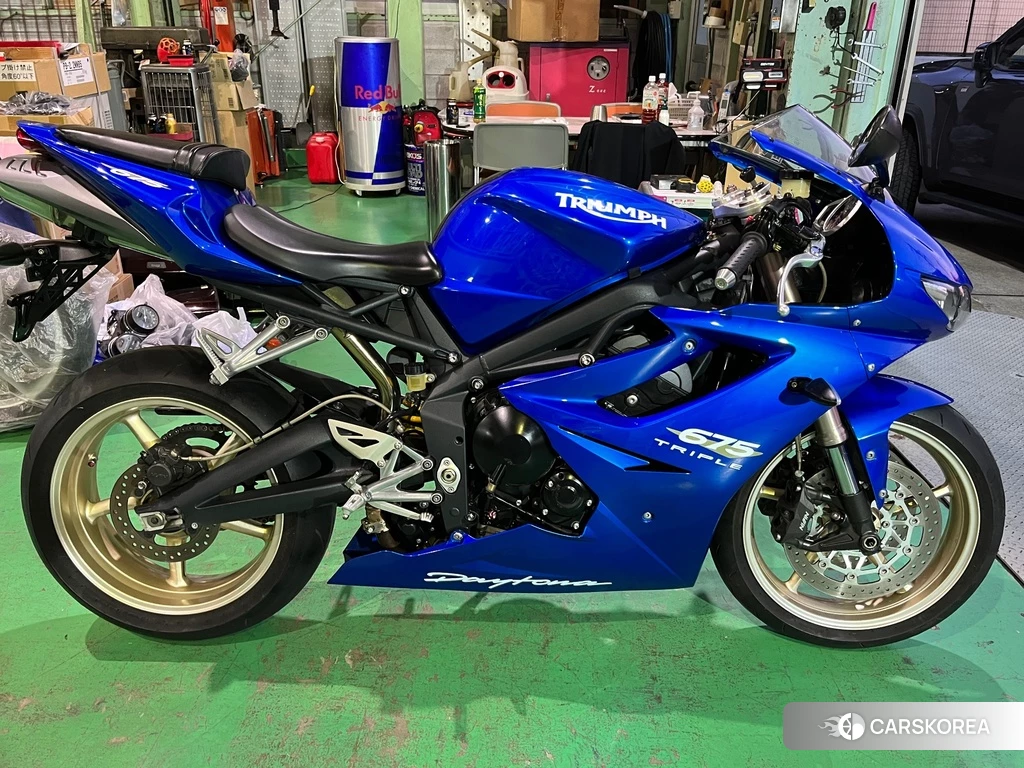 Проданный Triumph DAYTONA 675 2010 из Японии