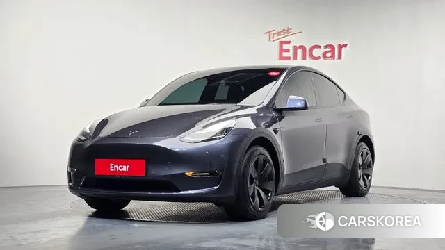 Tesla Model Y 2021 Серый из Кореи