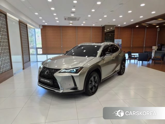 Lexus UX250h 2024 Серебристо-серый из Кореи