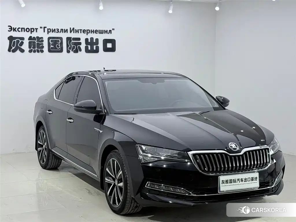 Skoda Speed pie 2023 Черный из Китая