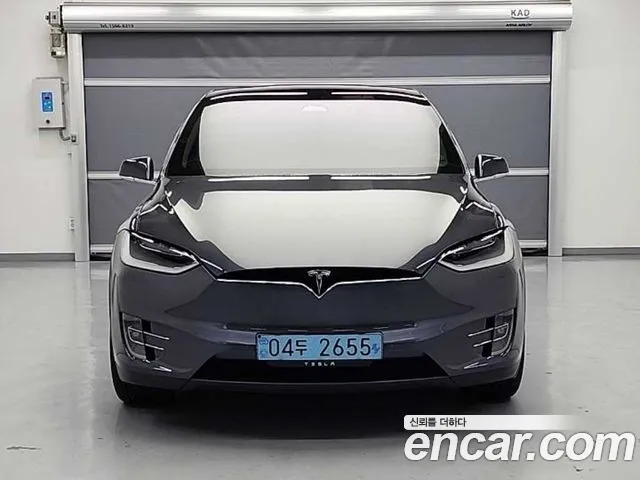 Tesla Model X 2019 Серый из Кореи