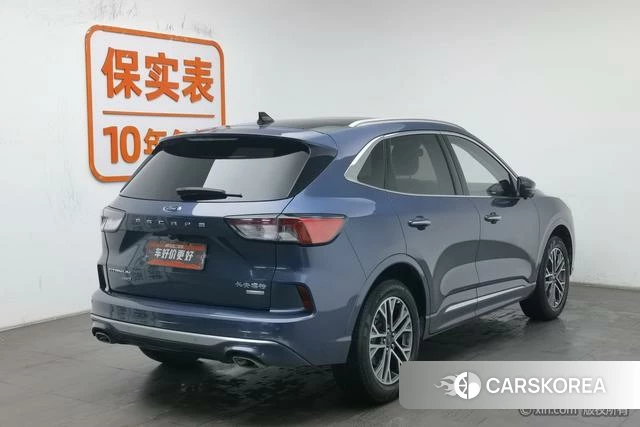 Ford Ruiji 2021 Синий из Китая