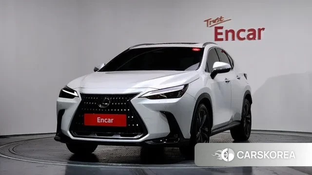 Lexus NX350h Second generation 2024 Белый из Кореи