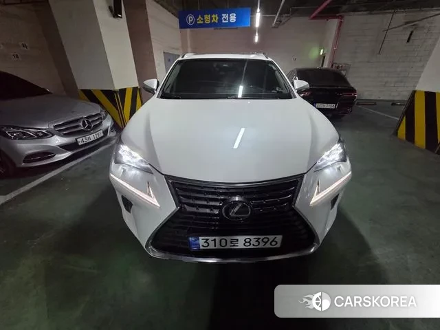 Lexus NX300h 2019 Жемчужный цвет из Кореи