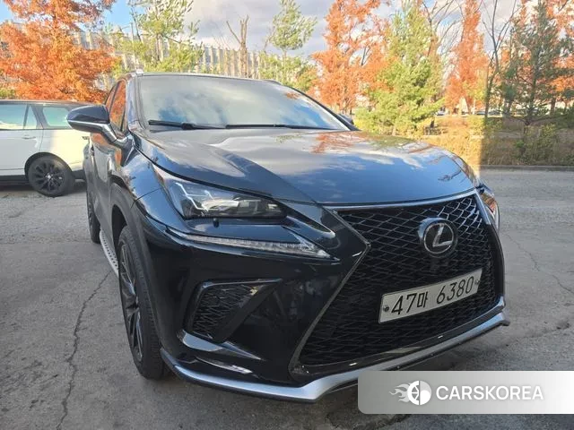 Lexus NX300 2018 Черный из Кореи