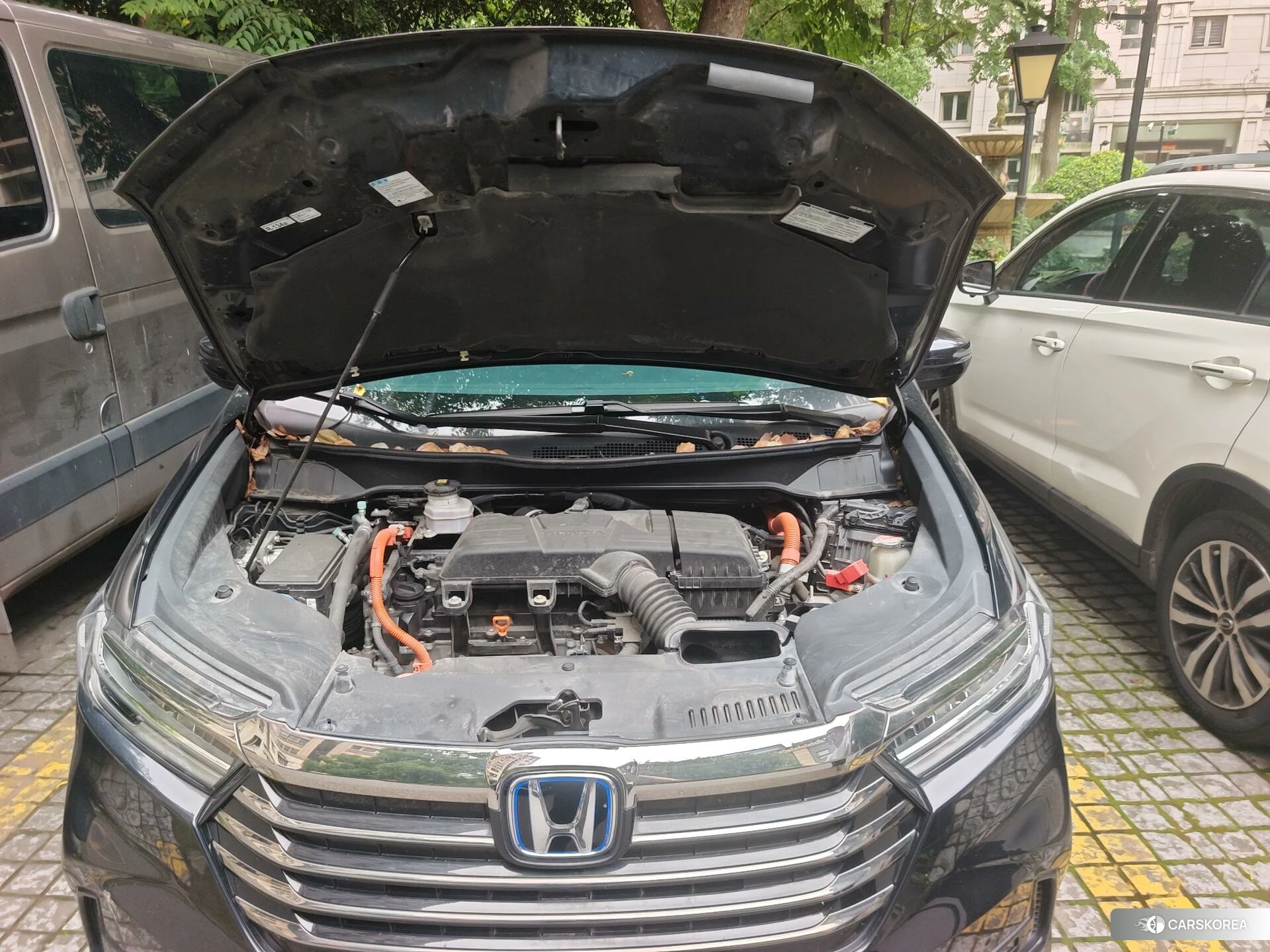 Honda Odyssey 2021 Синий из Китая