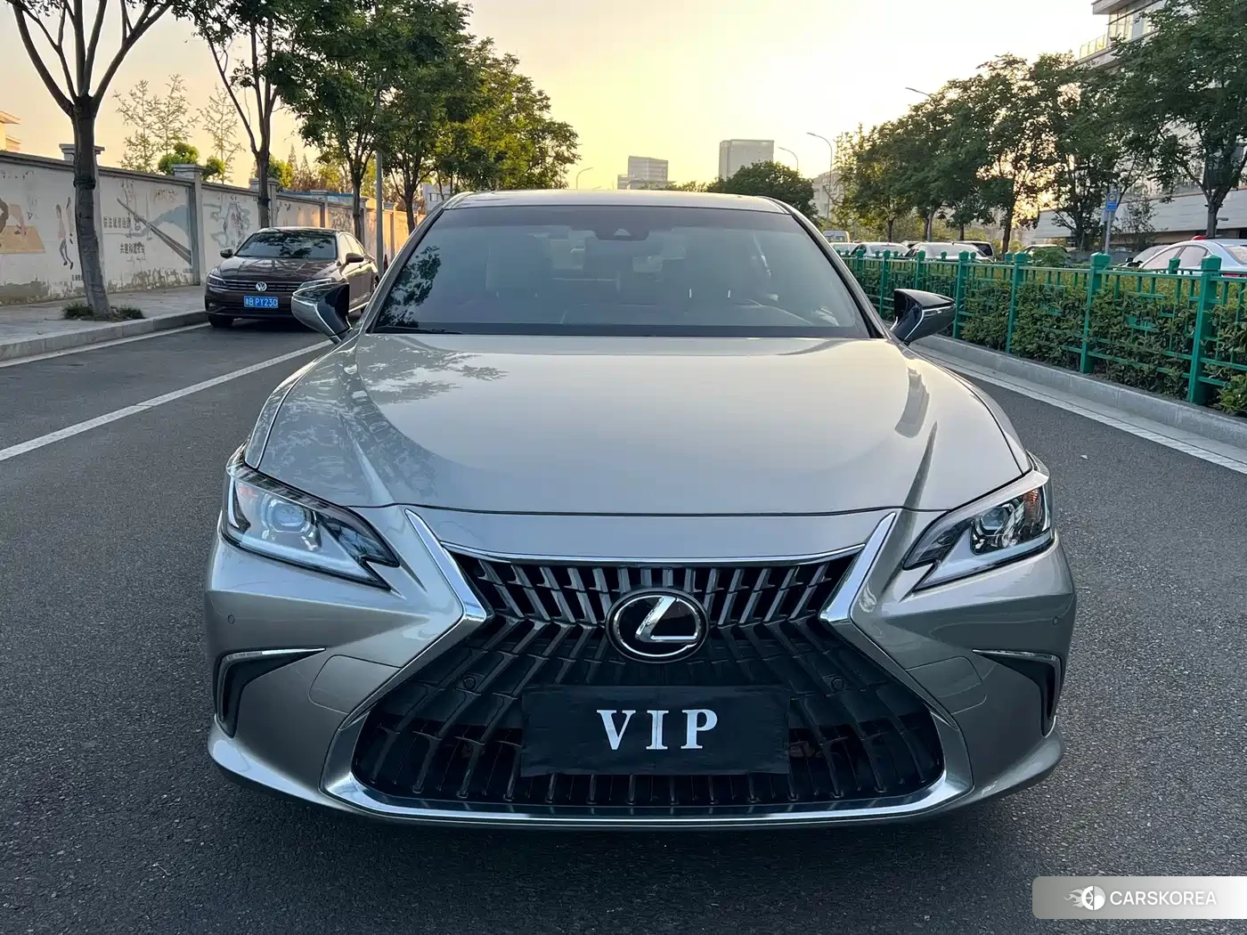Lexus ES 2022 Silver/gray из Китая