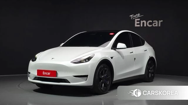 Tesla Model Y 2023 Белый из Кореи