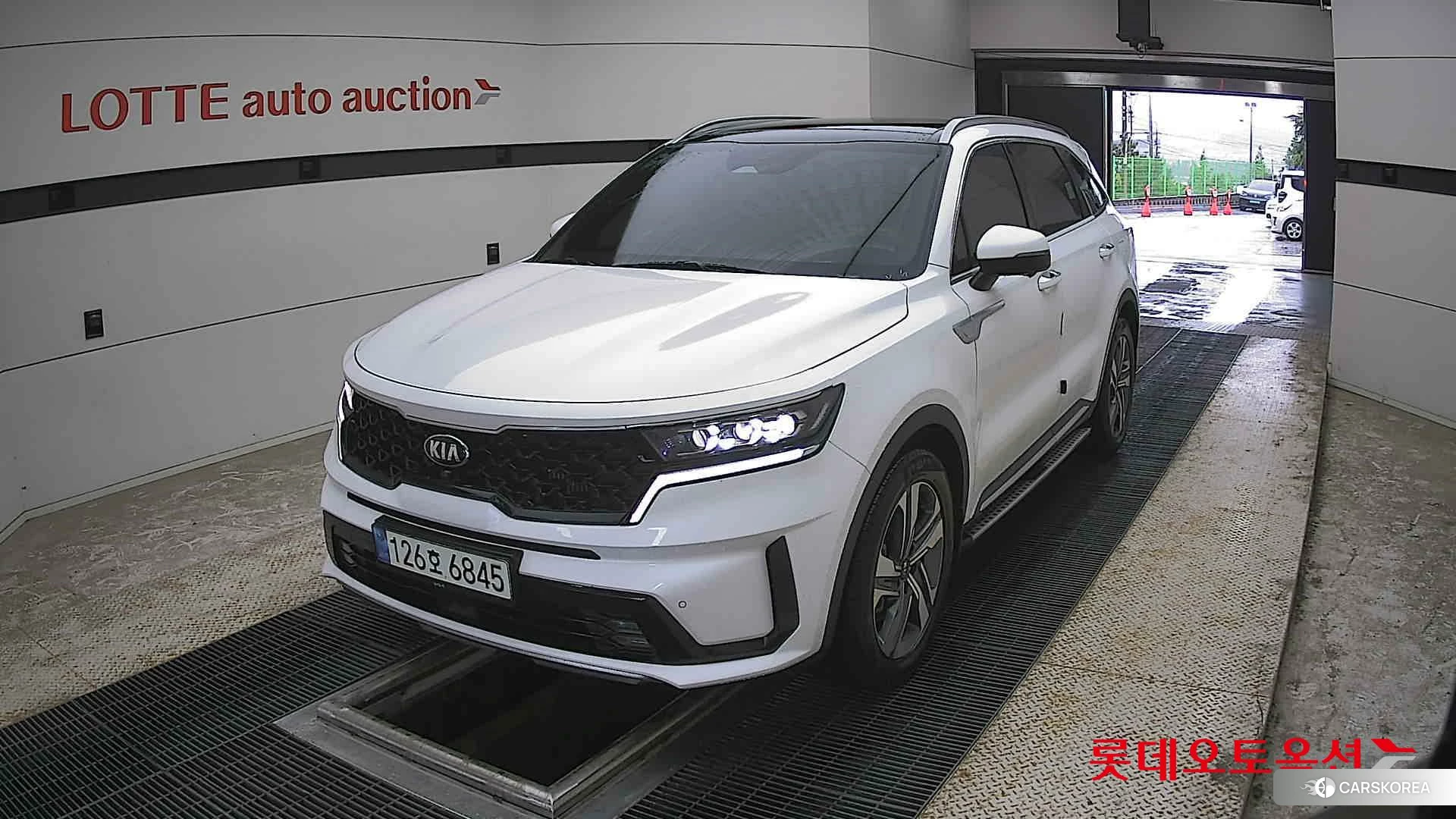 Kia Sorento Hybrid 2021 Белый из Кореи