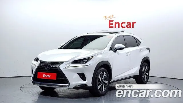 Lexus NX300h 2019 Белый из Кореи