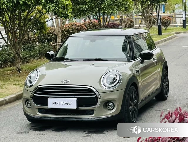 MINI MINI 2020 Другой из Китая