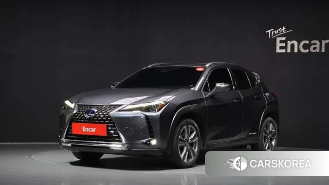 Lexus UX300e 2022 Серый из Кореи