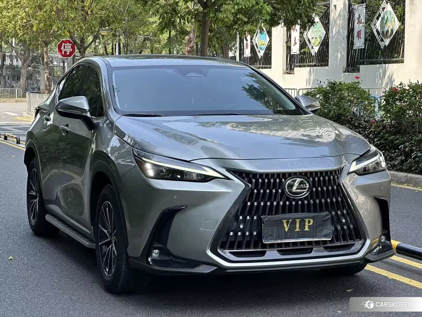Lexus NX 2023 Silver/gray из Китая