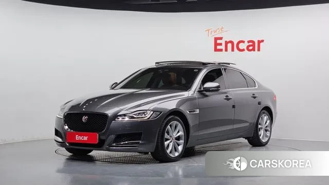 Jaguar XF (X260) 2019 Серый из Кореи