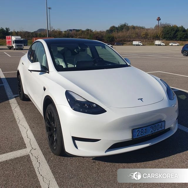 Tesla Model Y 2023 Белый из Кореи
