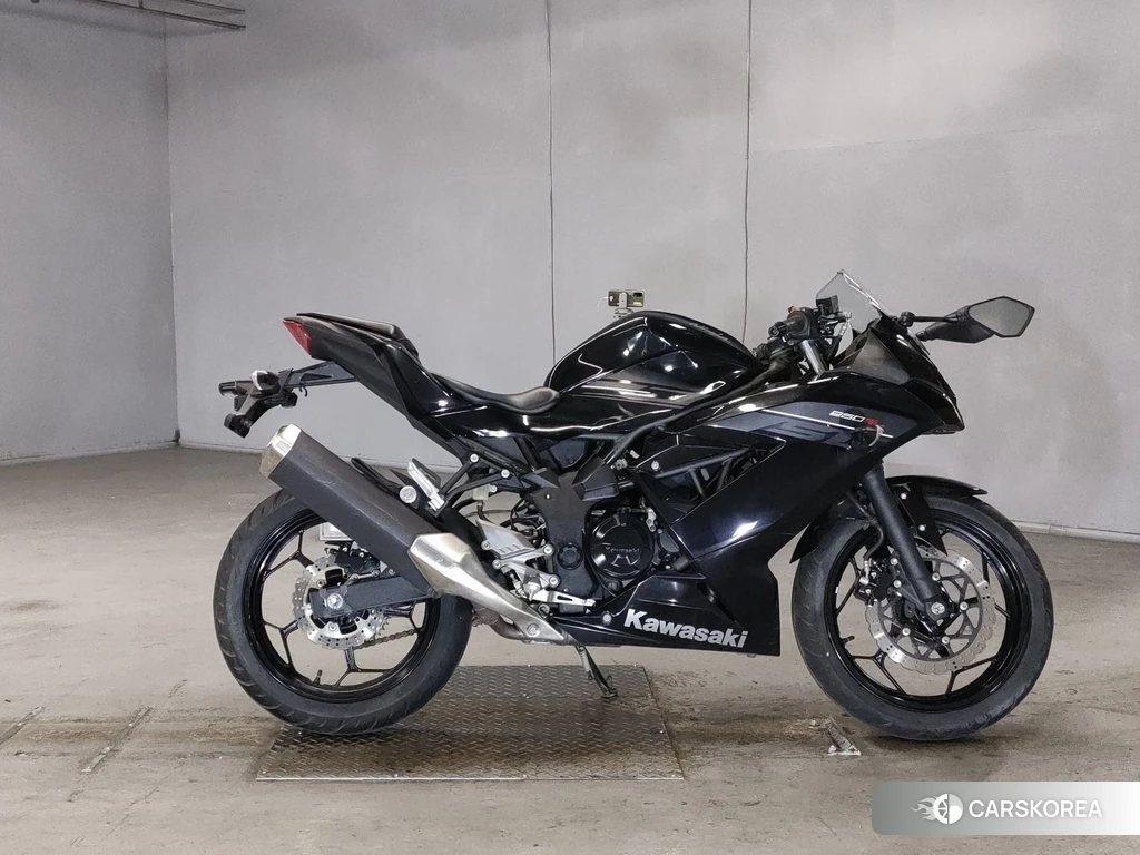 Проданный Kawasaki NINJA 250SL 2016 из Японии
