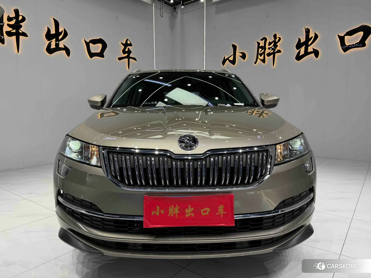Skoda Krok 2022 Желтый из Китая