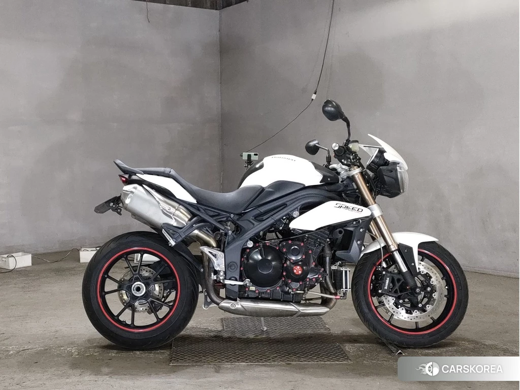 Проданный Triumph SPEED TRIPLE 2011 из Японии