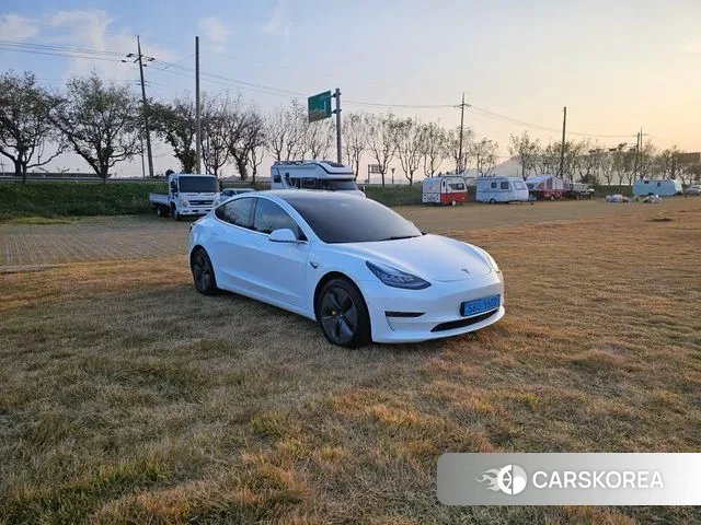 Tesla Model 3 2020 Белый из Кореи