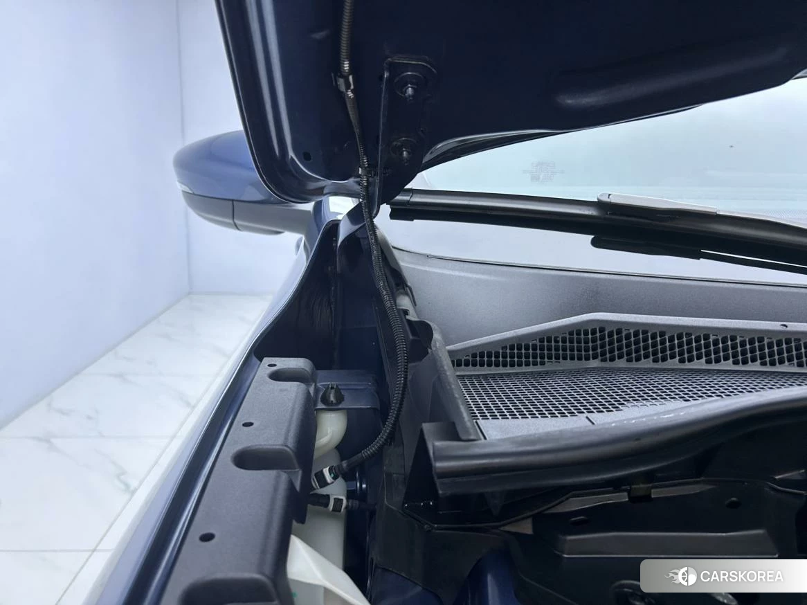 Ford Ruiji 2020 Синий из Китая