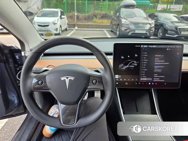 Tesla Model 3 2020 Серый из Кореи