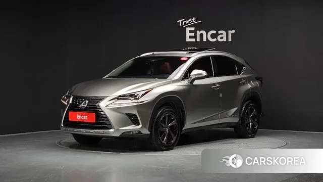 Lexus NX300h 2018 Серый из Кореи