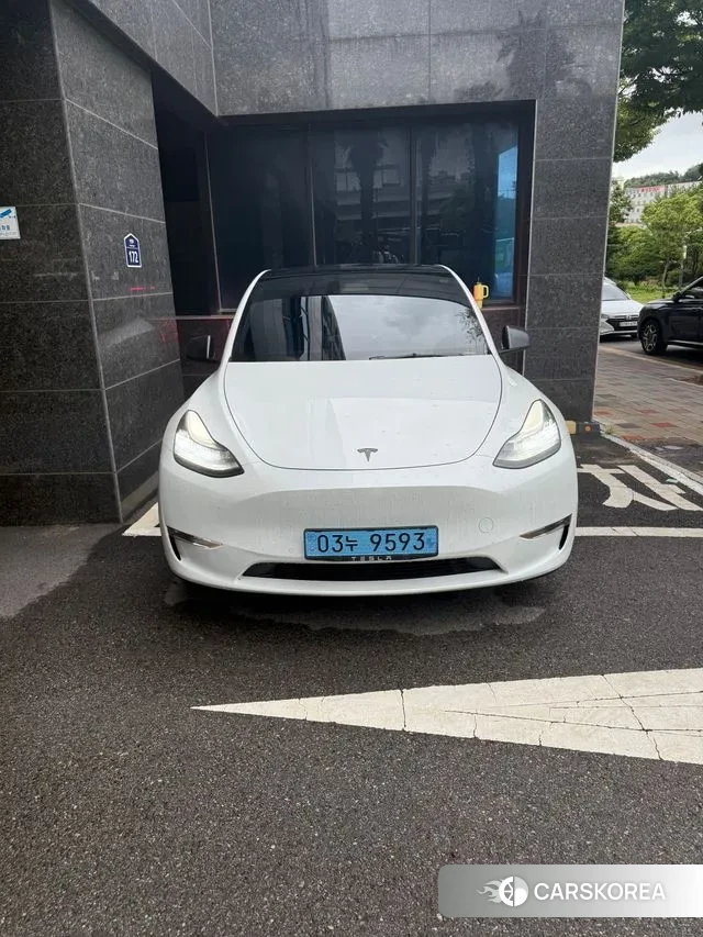 Tesla Model Y 2021 Белый из Кореи