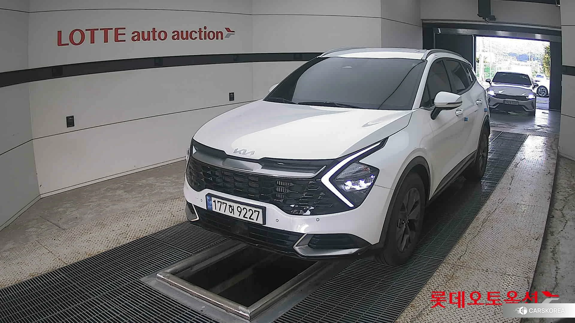 Kia Sportage 2024 Snow White Pearl из Кореи