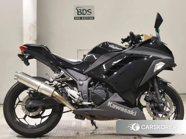 Kawasaki NINJA 250 2014 из Японии