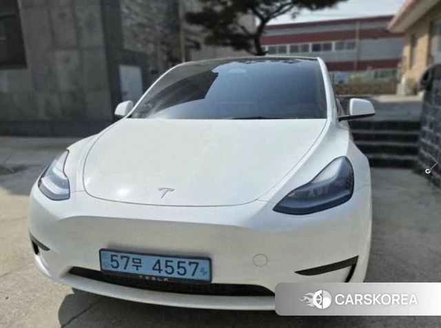 Tesla Model Y 2023 Белый из Кореи