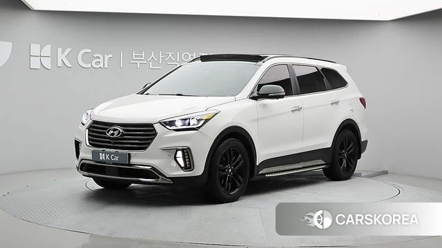 Hyundai The New Max Cruise 2018 Белый из Кореи