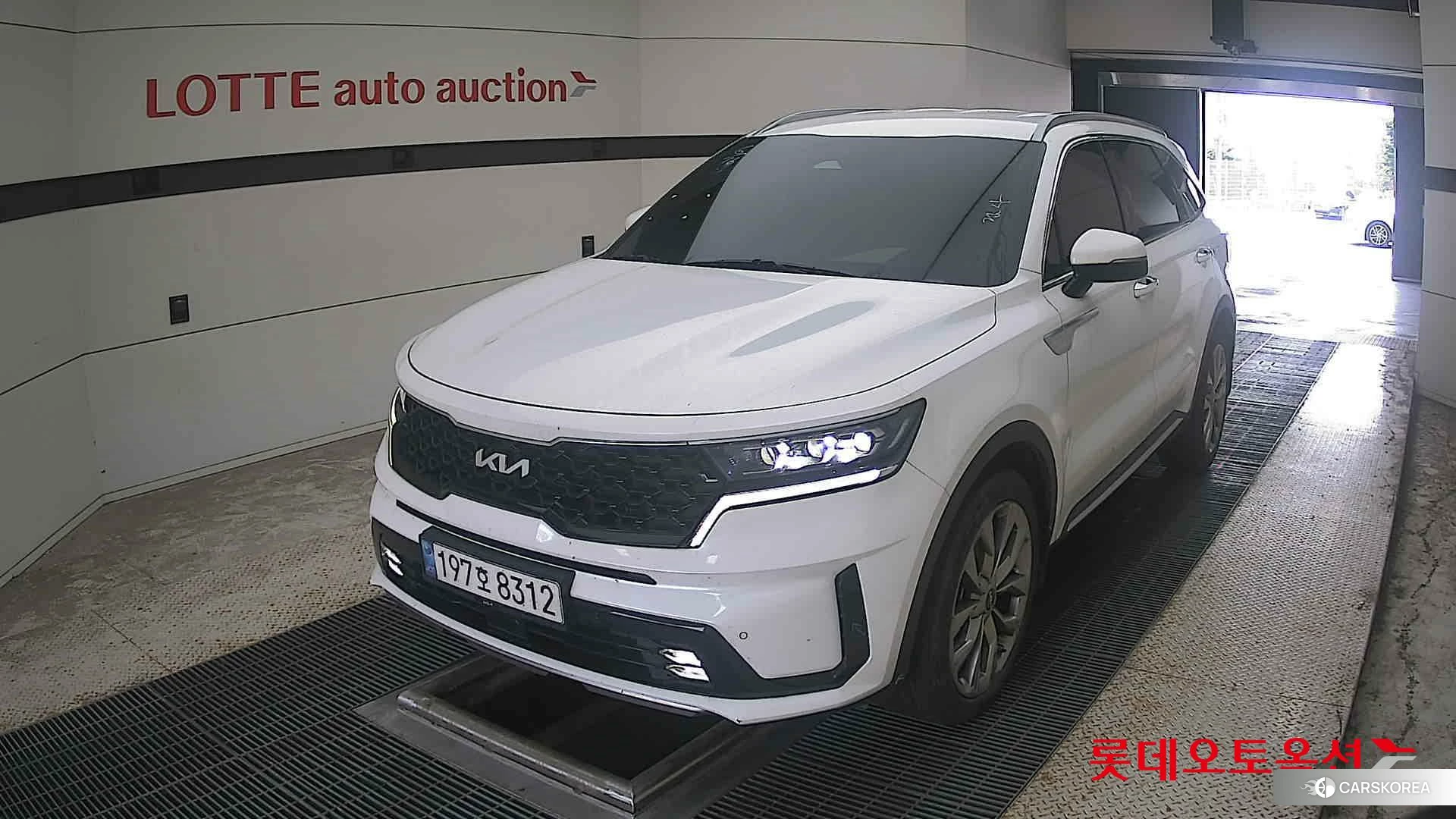 Kia Sorento 2023 Белый из Кореи