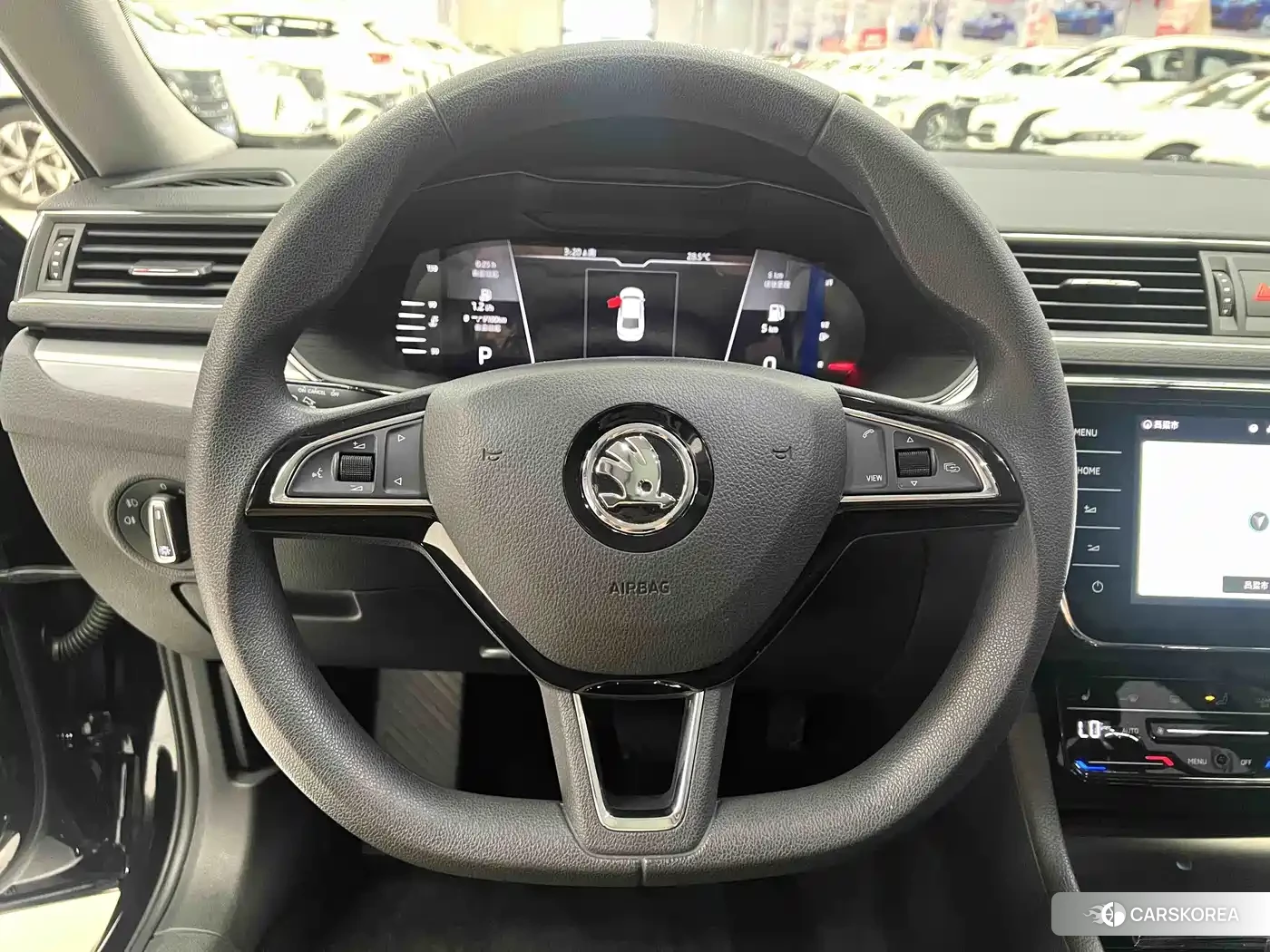 Skoda Speed pie 2024 Черный из Китая