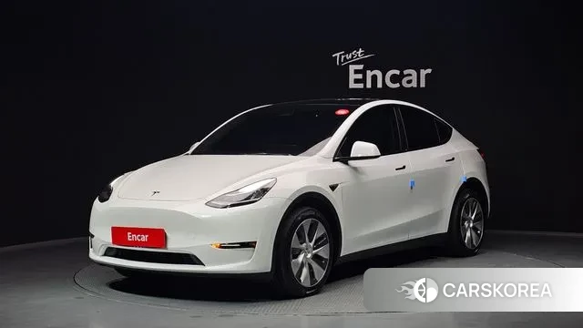 Tesla Model Y 2021 Белый из Кореи