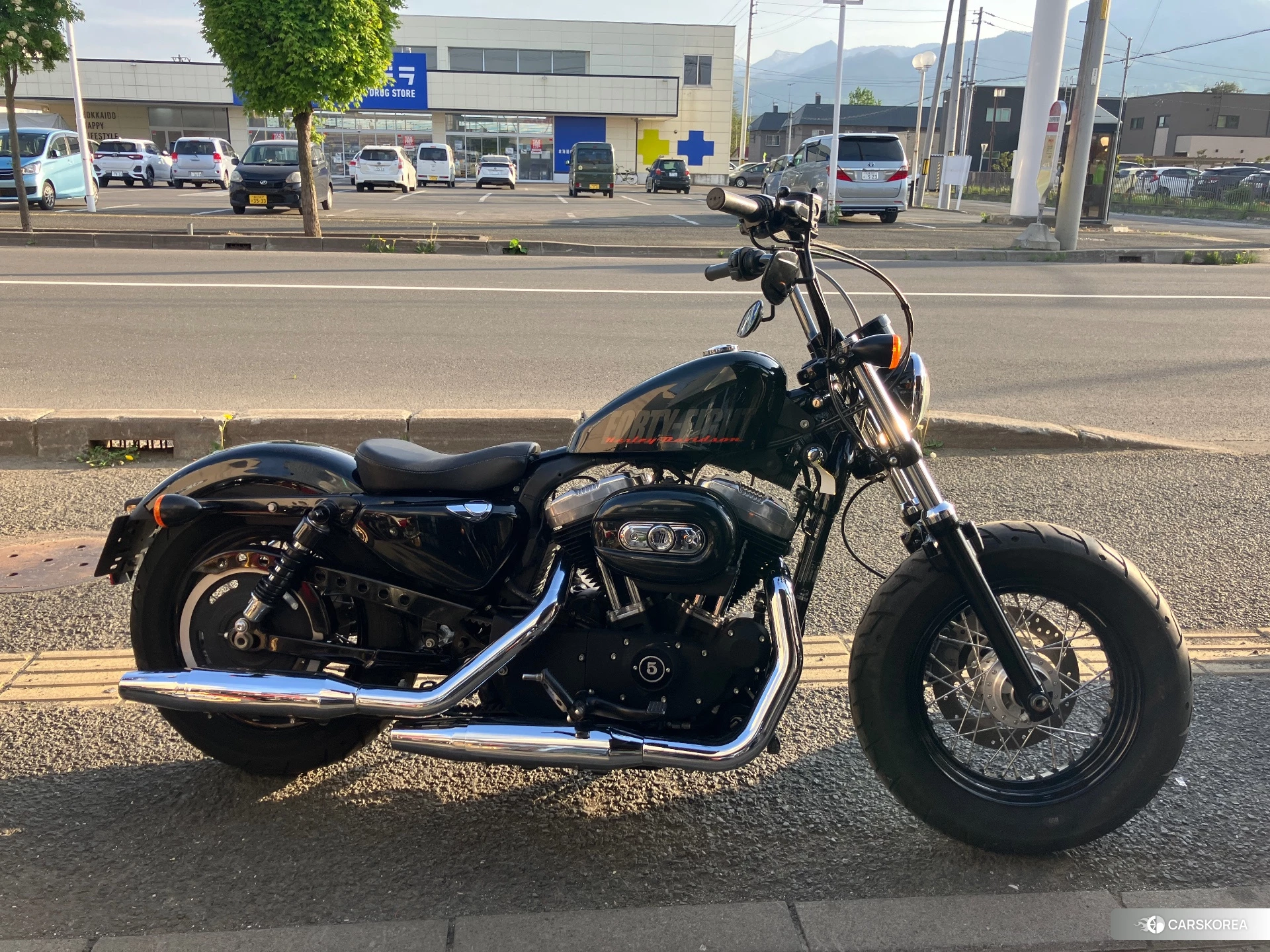 Harley-Davidson Sportster 48 XL1200X 2012 из Японии, фото 3
