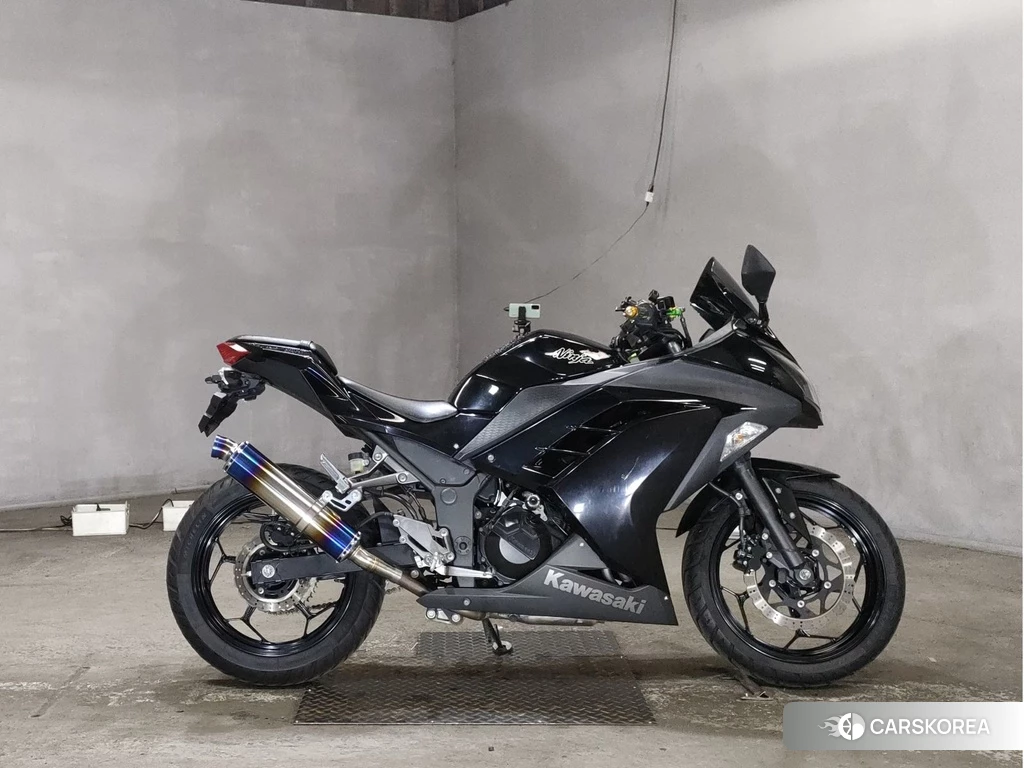 Проданный Kawasaki NINJA 250 2014 из Японии