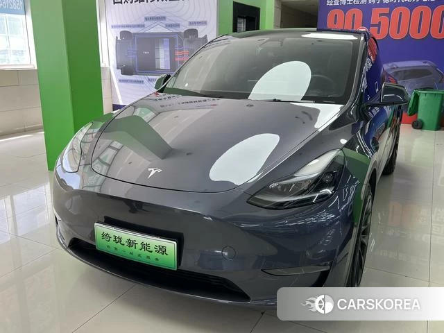 Tesla Model Y 2022 Серебристо-серый из Китая