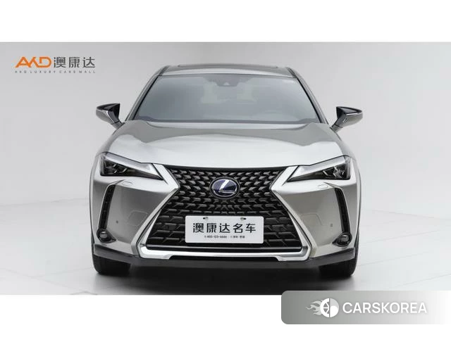 Lexus UX 2022 Другой из Китая