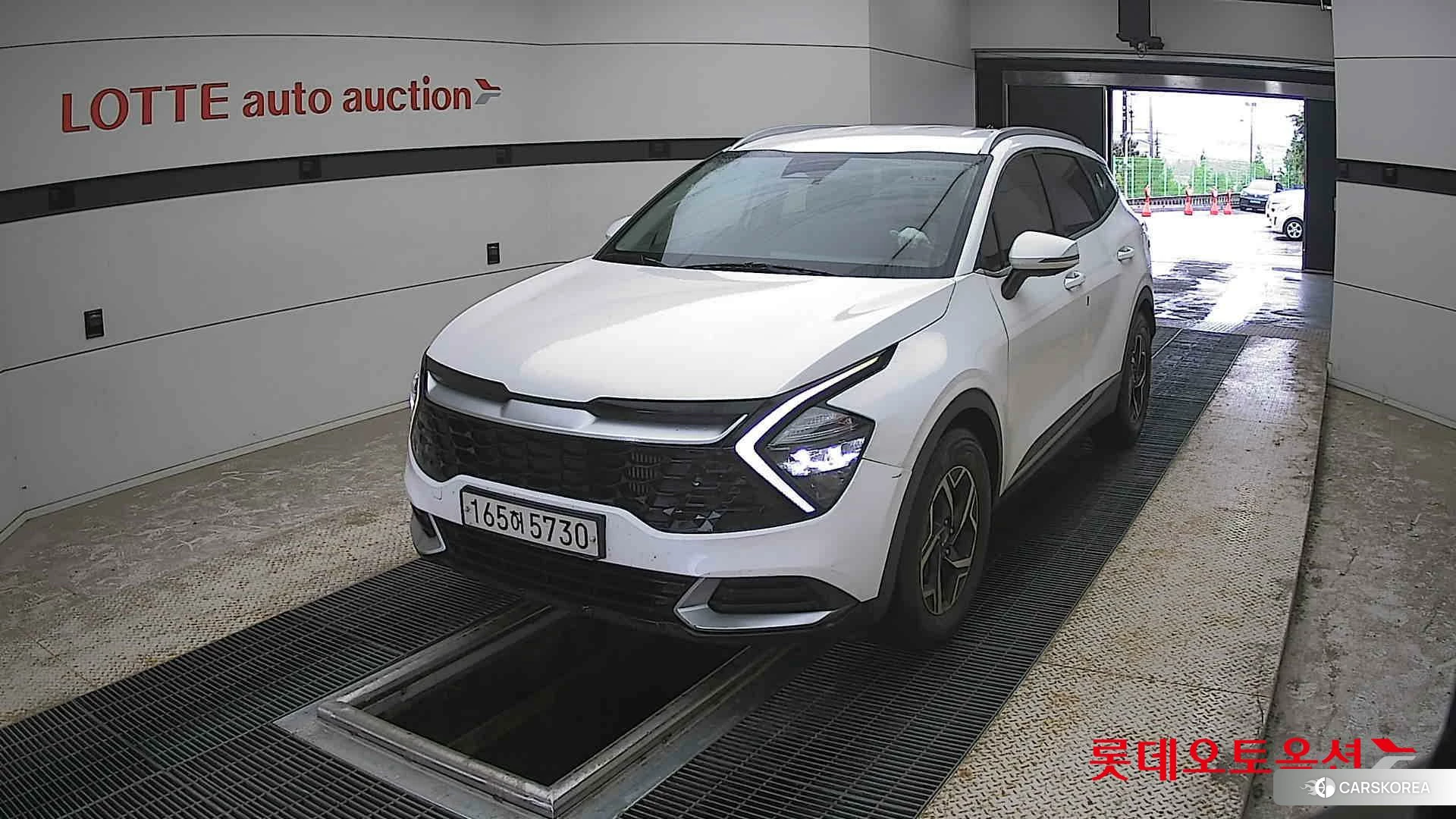 Kia Sportage 2022 Snow White Pearl (optional) из Кореи